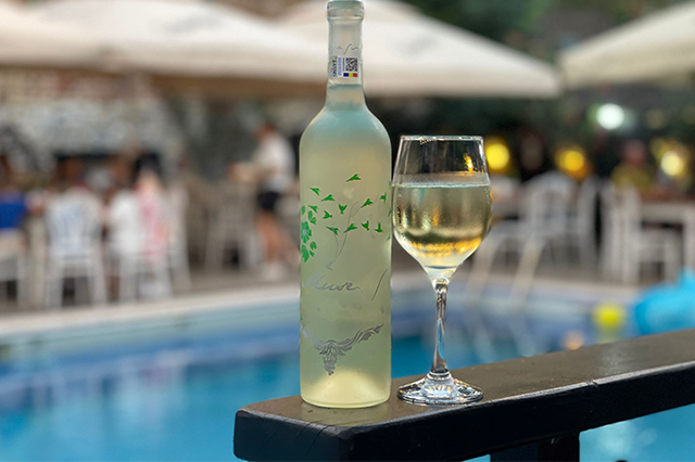 Turn medieval Carul din Stele