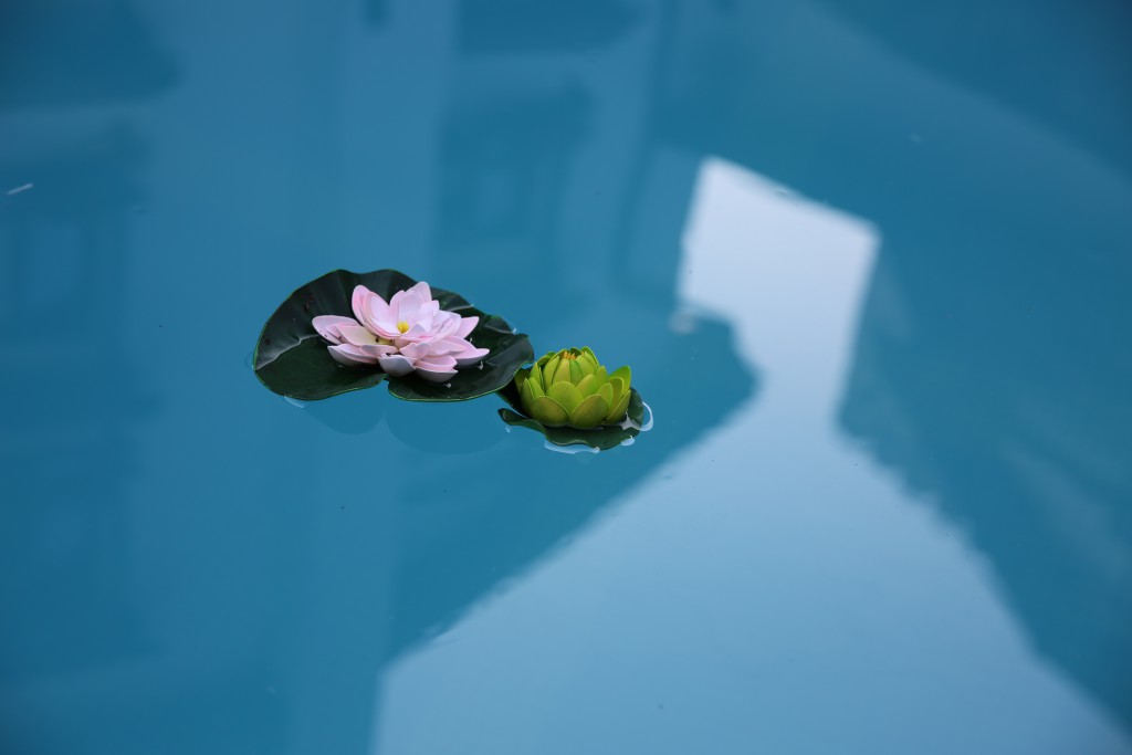 Turn medieval Carul din Stele